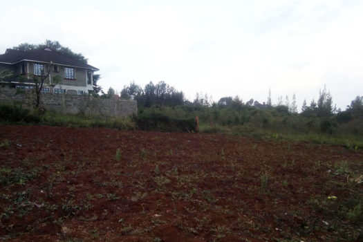 Vacant Land/ Plot for sale in Ruiru Kamiti Corner
