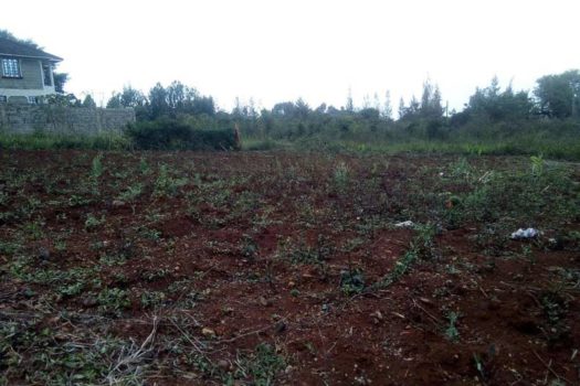 Vacant Land/ Plot for sale in Ruiru Kamiti Corner