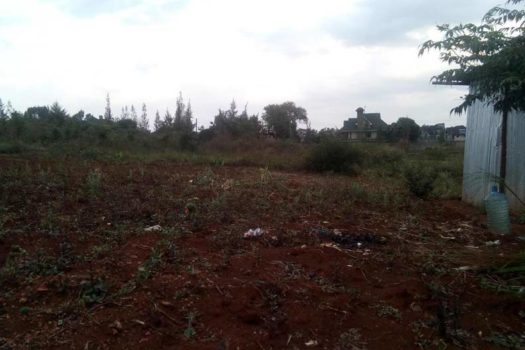 Vacant Land/ Plot for sale in Ruiru Kamiti Corner