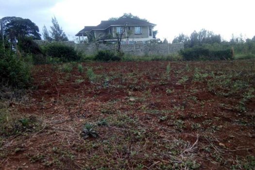 Vacant Land/ Plot for sale in Ruiru Kamiti Corner