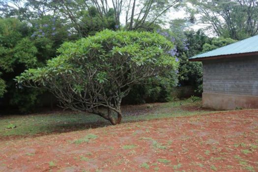 4 Bedroom House for sale in Karen