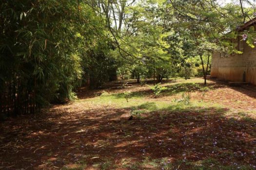 4 Bedroom House for sale in Karen