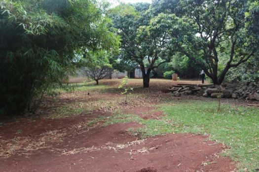 4 Bedroom House for sale in Karen