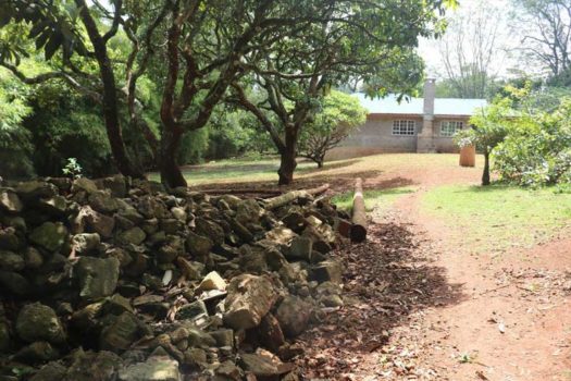 4 Bedroom House for sale in Karen