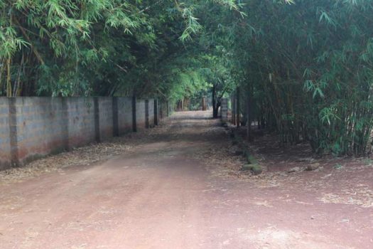 4 Bedroom House for sale in Karen