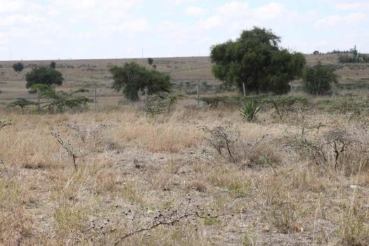 Vacant Land/ Plot for sale in Kitengela