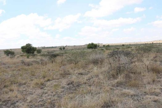 Vacant Land/ Plot for sale in Kitengela