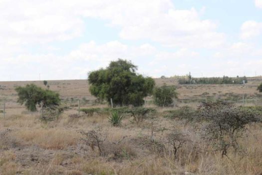 Vacant Land/ Plot for sale in Kitengela