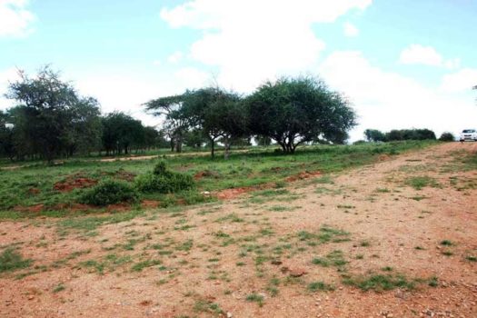 Land / Plot for sale in Kitengela