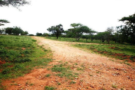 Land / Plot for sale in Kitengela