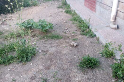 3 Bedroom Bungalow house to let in Utawala-Githunguri