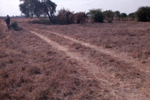 Victorias plots at Jujafarm for sale.
