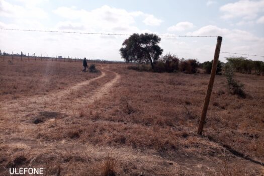 Victorias plots at Jujafarm for sale.