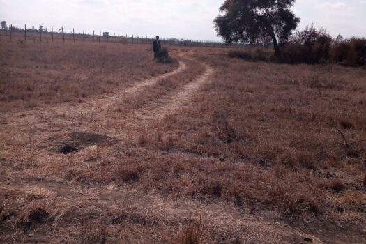 Victorias plots at Jujafarm for sale.
