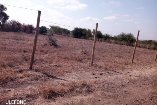 Victorias plots at Jujafarm for sale.