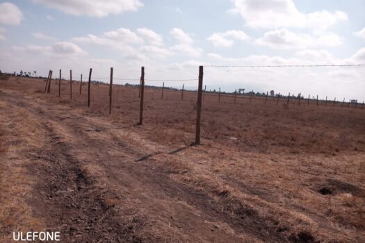 Victorias plots at Jujafarm for sale.