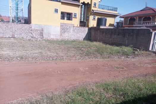 Plot for sale 100ft by 50ft within Bypass 1km to Thika road .