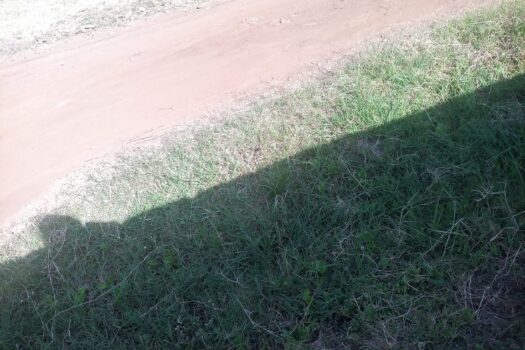Plot for sale 100ft by 50ft within Bypass 1km to Thika road .