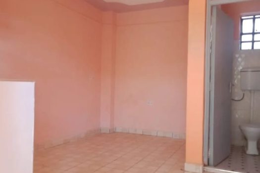 Spacious and Precious Bedsitter to let in Utawala-Airways (Arusha Court), in Nairobi, Near Lakewood Premier School